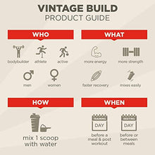 Load image into Gallery viewer, VINTAGE BUILD Post Workout BCAA, Creatine, L-Glutamine - The Essential 3-in-1 Muscle Building Recovery Powder for Men and Women (Fresh Berries) - Keto Friendly - 377 Grams - 30 Servings
