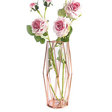 Load image into Gallery viewer, Gelible Geometric Glass Flower Vase with Metal Holder, Crystal Clear Transparent Planter Flowers Vase,Handcrafted Plating Metal Vase,Clear Vase Decor Home Office Wedding Party and Holiday Celebrate
