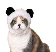 Load image into Gallery viewer, Kitan Club Cat Cap - Pet Hat Blind Box Includes 1 of 6 Cute Styles - Soft, Comfortable - Authentic Japanese Kawaii Design - Animal-Safe Materials, Premium Quality (Bear)
