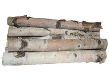 Load image into Gallery viewer, Wilson Enterprises Northern White Birch Logs, Set of 8
