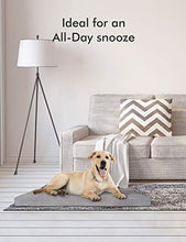 Load image into Gallery viewer, PETLIBRO Dog Bed for Crate, Memory Foam Dog Crate Bed 41” x 29” Large Dog Bed Orthopedic Plush Mattress for Therapeutic Joint&amp;Muscle Relief Removable&amp;Washable Bed Cover with Waterproof Inner Lining
