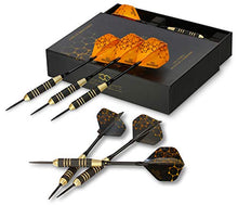 Load image into Gallery viewer, CC-Exquisite Professional Steel Tip Darts Set - 6 x 22g Brass Barrels with 12 Flights Standard/Slim, 12 Aluminum Shafts 35/48mm, 12 O-Rings, Dart Tool, Dart Sharpener and Case (Black &amp; Gold)
