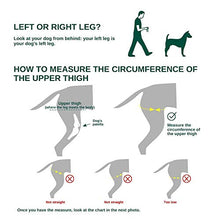 Load image into Gallery viewer, Ortocanis Original Knee Immobilizer for Dogs with ACL and Patella Dislocation- Keeps The Joint Stable and Reduces Movements - 8 Sizes for Left or Right Leg - Colour Black
