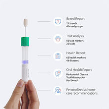 Load image into Gallery viewer, Basepaws Cat DNA Test | Breed + Health + Dental Report | Top Cat Breeds &amp; 115 Health &amp; Trait Markers | As Seen On Shark Tank
