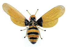 Load image into Gallery viewer, Kubla Crafts Cloisonne Articulated Enamel Bumblebee Christmas Ornament, Accented with Austrian Crystals, 2.75 Inches Wide
