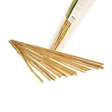 Load image into Gallery viewer, Hydrofarm HGBB4 4' Natural, pack of 25 Bamboo Stake, Tan
