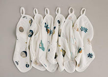 Load image into Gallery viewer, Muslin Bamboo Baby Washcloths - Soft Organic Baby Wash Cloths Perfect for Newborn Sensitive Skin - Absorbent Baby Wipes, Burp Cloths or Face Towels - Set of 6-12x12 in(Feathers)
