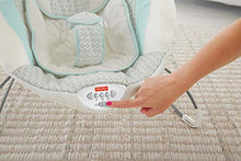 Load image into Gallery viewer, Fisher-Price Moonlight Meadow Deluxe Bouncer
