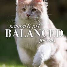 Load image into Gallery viewer, Burt's Bees Kitten and Cat Wipes For Grooming, Natural Dander Reducing Wipes, 50 Count
