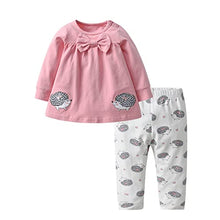 Load image into Gallery viewer, Baby Girls Clothes Set 2 Piece Long Sleeve Cartoon Hedgehog Infant Outfits (0-6 Months) Pink
