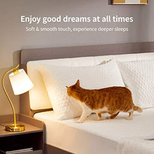 Load image into Gallery viewer, CoolShields Silky Waterproof Pillow Protectors with Zipper, [Use Premium Fabrics ONLY] Noiseless Hypoallergenic Pillowcase for a Better Sleep, Standard Size, Set of 2,[Oeko-Tex Certified]…
