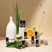 Load image into Gallery viewer, Cliganic Organic Essential Oils Set (Top 5) - 100% Pure Natural - Aromatherapy, Candle Making - Peppermint, Lavender, Eucalyptus, Lemongrass &amp; Orange
