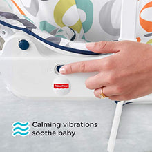 Load image into Gallery viewer, Fisher-Price Infant-to-Toddler Rocker
