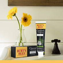 Load image into Gallery viewer, Burt’s Bees Toothpaste, Natural Flavor, Charcoal Fluoride-Free Toothpaste, Zen Peppermint, 4.7 oz, Pack of 3
