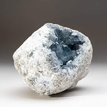 Load image into Gallery viewer, Astro Gallery of Gems Blue Celestite Cluster Geode from Sankoany, Ketsepy Mahajanga, Madagascar (5.8 lbs) - BC62
