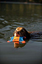 Load image into Gallery viewer, ChuckIt! Flying Squirrel Spinning Dog Toy, (Orange/Blue), Multicolor, Medium (10 in x 10 in) (0511300)
