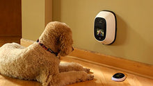 Load image into Gallery viewer, PetChatz PawCall HDX: [New] USA Made Recommended Accessory, Interactive Gaming Device, Allows Your Pet to Message You &amp; Play Brain (Treat) Games While You're Away
