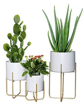 Load image into Gallery viewer, Floor Standing Planters with Metal Stand Pack of 3, White Plant Pot with Gold Metal Stand, Matches Mid Century Modern Living Rooms, Container Box for Patio, Deck, Porch, Garden, Lawn(White)
