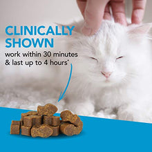 Load image into Gallery viewer, VetriScience Laboratories Composure, Calming Formula for Cats, 30 Bite-Sized Chews
