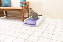 Load image into Gallery viewer, PetSafe PAL00-14242 ScoopFree Original Self-Cleaning Cat Litter Box - Automatic with Disposable Tray and Non-Clumping Crystal Litter - Purple
