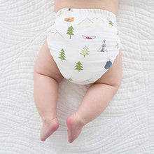 Load image into Gallery viewer, SmartNappy Disposable Inserts for by Amazing Baby Hybrid Diaper Cover, Extra Absorbent, No Plastic Liner, Size 3-4, 12-40 lbs, 22 Count
