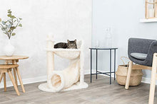 Load image into Gallery viewer, TRIXIE Pet Products Gandia Cat Tree
