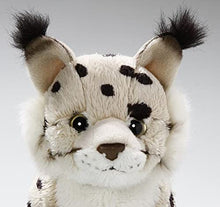 Load image into Gallery viewer, Lynx, 6.5 inches, 16cm, Plush Toy, Soft Toy, Stuffed Animal 3314
