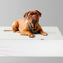 Load image into Gallery viewer, Jet's Home King Waterproof Mattress Protector Mattress Pad Cover,Soft Breathable Machine Washable Bamboo Mattress Cover, Quiet Non Noisy Bed Cover with Deep Pocket Fits Up to 17”

