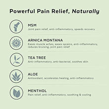 Load image into Gallery viewer, 2nd Springs Restore Pain Relief Cream [3oz] with Arnica Montana, Menthol, MSM, Tea Tree Oil, Ilex. Inflammation Relief Formula for Arthritis, Neck, Joints, Low Back Pain, Plantar Fasciitis
