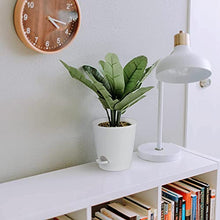 Load image into Gallery viewer, HOMENOTE 6" Bottom Watering Plant Pots, 6Pcs Self Watering Planters with Drainage Holes, Attached Saucer Reservoir and Watering Lip for Indoor Outdoor Flowers Plants Windowsill, White
