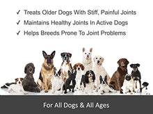 Load image into Gallery viewer, Joint Repair Advanced Hip &amp; Joint Health Supplement for Dogs. Naturally Relieves Arthritis, Pain &amp; Inflammation. Extra Strength Soft Chew Treats with Glucosamine, Chondroitin &amp; MSM Improve Mobility
