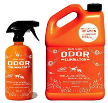 Load image into Gallery viewer, ANGRY ORANGE 24 oz &amp; 1 Gallon (Refill) - Ready-to-Use Citrus Pet Odor Eliminator Pet Spray - Urine Remover and Carpet Deodorizer for Dogs and Cats
