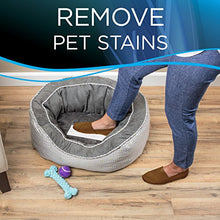 Load image into Gallery viewer, Bissell Stomp 'N Go Pet Lifting Pads + Oxy for Stain Removal on Carpet &amp; Area Rug Cleaning, 20 Pack, 2194, 20 Count
