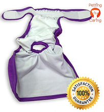 Load image into Gallery viewer, PETTING IS CARING Dog Washable Diapers &amp; Reusable Female Dog Diapers Materials Durable Machine Washable Simple Solution for Pets Incontinence Long Travels Pants - 3 Pack Set Size (M)
