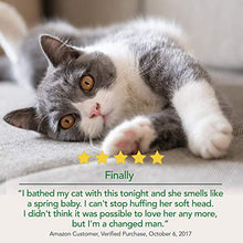 Load image into Gallery viewer, Vet's Best Waterless Cat Bath | No Rinse Waterless Dry Shampoo for Cats | Natural Formula | 4 Ounces
