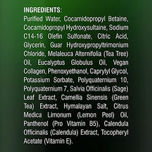 Load image into Gallery viewer, MAJESTIC PURE Tea Tree Body Wash with Collagen - Helps Nail Fungus, Athletes Foot, Ringworms, Jock Itch, Acne, Eczema &amp; Body Odor - Soothes Itching - (Packaging May Vary), Set of 2, 16 fl oz
