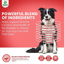 Load image into Gallery viewer, Doggie Dailies Bundle - Probiotics &amp; Bladder Support Soft Chews
