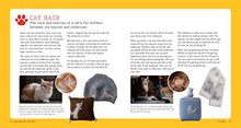 Load image into Gallery viewer, Crafting with Cat Hair: Cute Handicrafts to Make with Your Cat
