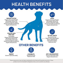Load image into Gallery viewer, Innovet Pet Advanced Mobility Chews For Dogs – (90 Chews) Dog Treats, Hip &amp; Joint Supplement With MSM, Green Lipped Mussel, Vitamin C &amp; E, Glucosamine for Dogs, Organic Terpene Extract Boosts Immunity
