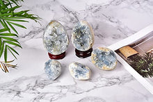 Load image into Gallery viewer, AMOYSTONE Natural Blue Celestite Cluster Geode Egg with Base for Healing Reiki Home Decors Medium, Height 2.5-3"
