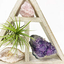 Load image into Gallery viewer, people crystals Mini Crystal + Air Plant Gift Set/Includes a 4.75” Mini Display Shelf, Tillandsia Air Plant, Purple Amethyst Cluster, Raw Rose Quartz, and Clear Quartz Point, Home décor Accent.
