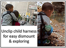 Load image into Gallery viewer, Piggyback Rider Scout Child Toddler Carrier Backpack for Hands-Free Hiking Trails, Camping, Fitness, Travel, Adventures – Orange
