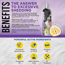 Load image into Gallery viewer, Shed-X Shed Control Shampoo for Dogs, 16 oz – Reduce Shedding – Shedding Shampoo Infuses Skin and Coat with Vitamins and Antioxidants to Clean, Release Excess Hair and Exfoliate
