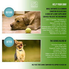 Load image into Gallery viewer, BEST HIP &amp; JOINT SUPPLEMENTS FOR DOGS: Product of USA- Natural Pain Relief &amp; Mobility + Аnti-inflammatory and Аnti-arthritic effects Maximum strength Glucosamine &amp; Chondroitin approx/170 Soft Chews
