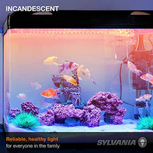 Load image into Gallery viewer, SYLVANIA T10 Incandescent 25-Watt Tubular Incandescent Bulb, Medium Base, 230 Lumens, 100 CRI, 2580K, Clear (18491)
