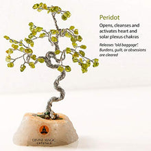 Load image into Gallery viewer, Divine Magic Handmade Natural Crystal Tree Green Peridot Enhance Confidence | Crystal Art Decoration Good Luck Tree Activates Heart and Solar Plexus Chakras - Spiritual Gifts for Women Men
