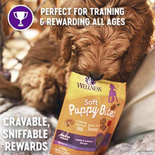 Load image into Gallery viewer, Wellness Soft Puppy Bites Natural Grain Free Puppy Training Treats, Lamb &amp; Salmon, 3-Ounce Bag
