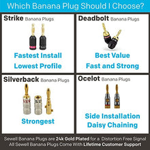 Load image into Gallery viewer, Sewell Silverback Banana Plugs, 24k Gold Dual Screw Lock Speaker Connector, 12 Pairs
