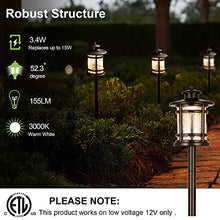 Load image into Gallery viewer, hykolity Low Voltage ORB LED Landscape Path Light W/ Crackled Shade, 3.4W 155LM 12V Wired Outdoor LED Walkway Light, Die-cast Aluminum Construction, 30-Watt Equivalent, 15-Year Lifespan-6Pack

