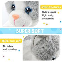Load image into Gallery viewer, Houwsbaby Light up Kitty Stuffed Animal Cat Floppy LED Plush Toy Kitten Night Lights Glow Pillow Birthday Gifts for Kids Toddler Girls, Gary, 15''

